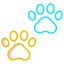Shape